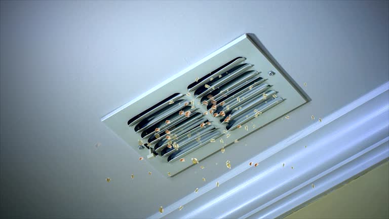 Best Residential Air Duct Cleaning  in Toona, AL