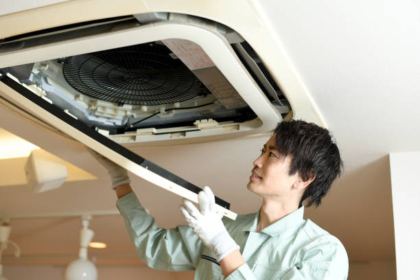 Best Professional Duct Cleaning Services  in Toona, AL