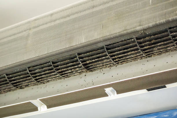Best Ductwork Cleaning Services  in Toona, AL